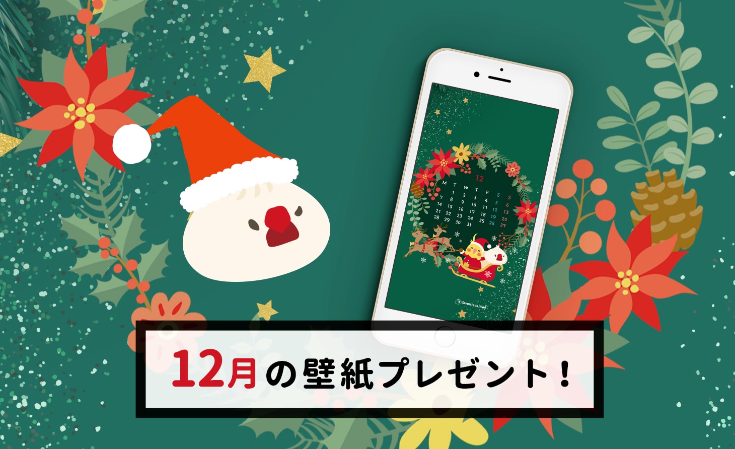 21年12月小籠包文鳥 壁紙カレンダープレゼント フェイバリット台湾